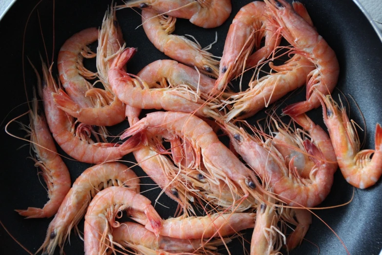 a pan filled with shrimp sitting on top of a table, by Richard Carline, hurufiyya, high quality product image”, crustacean head, arabella mistsplitter, battered