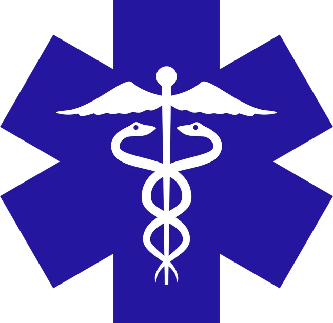 the medical symbol of the emergency star of life, by Paul Emmert, symbolism, dark blue and white robes, snake, black and blue and purple scheme, flat color