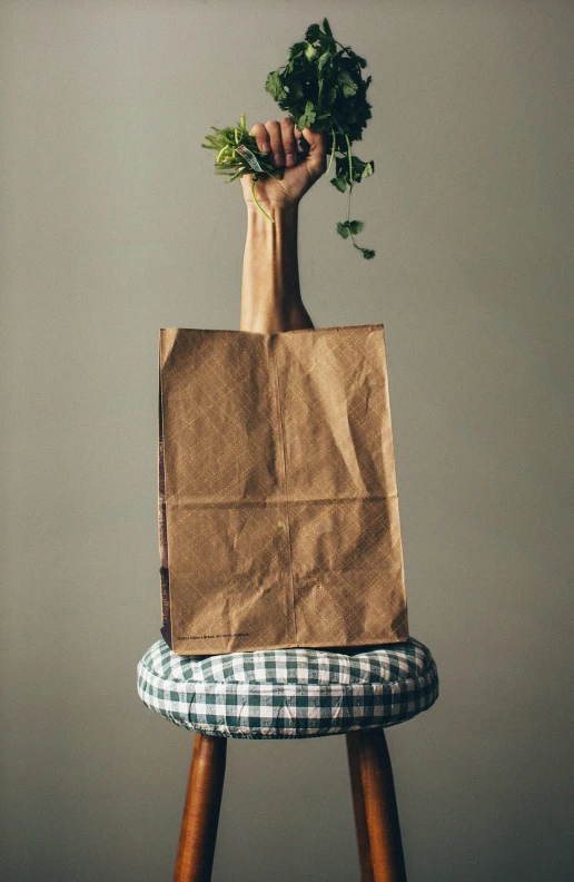 a brown paper bag sitting on top of a wooden chair, unsplash, hyperrealism, woman made of plants, holding a baguette, seen from below, stick and poke