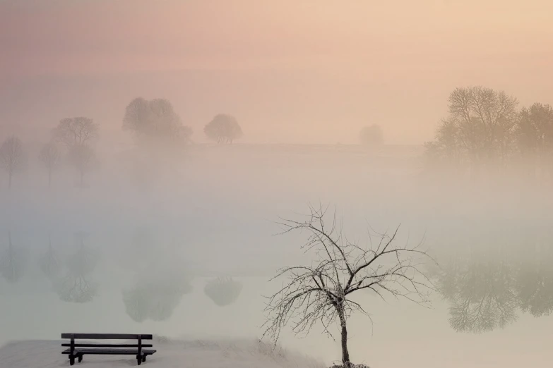 a bench sitting on top of a snow covered field, a picture, by Leon Chwistek, pexels contest winner, romanticism, in a misty pond, pink tree beside a large lake, light orange mist, in volumetric soft glowing mist