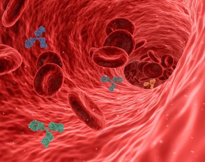 a group of red blood cells moving through a vein, flickr, digital art, floating molecules, avatar image, clover, biohazard