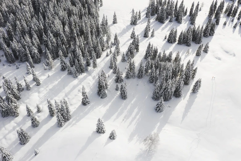 a person riding skis down a snow covered slope, a photo, by Matthias Weischer, figuration libre, aerial view of an ancient land, spruce trees on the sides, 4 0 9 6, softly shadowed