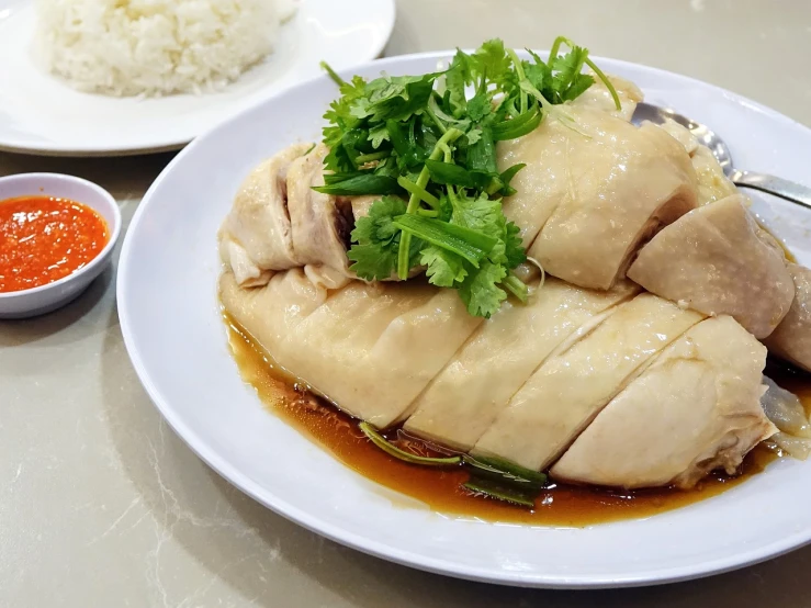 a close up of a plate of food on a table, a picture, shutterstock, realism, kowloon, chicken feathers, south east asian with round face, white-haired