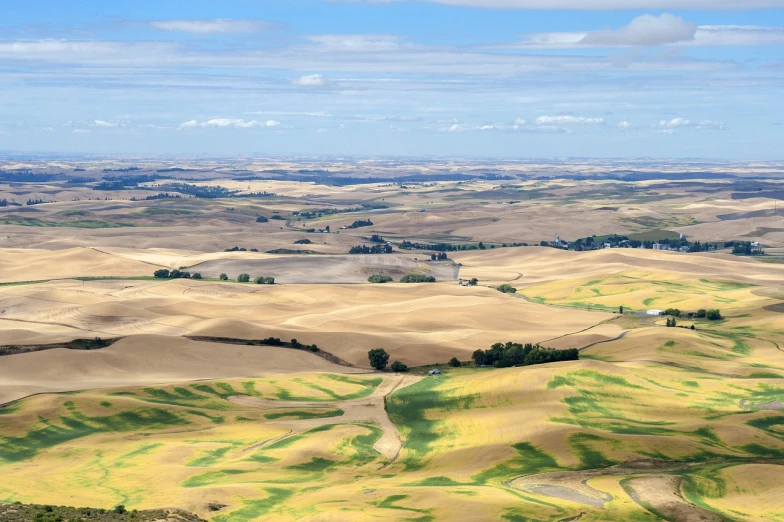 a view of the countryside from the top of a hill, by Jim Nelson, shutterstock, immense wheat fields, washington, sandfalls, usa-sep 20