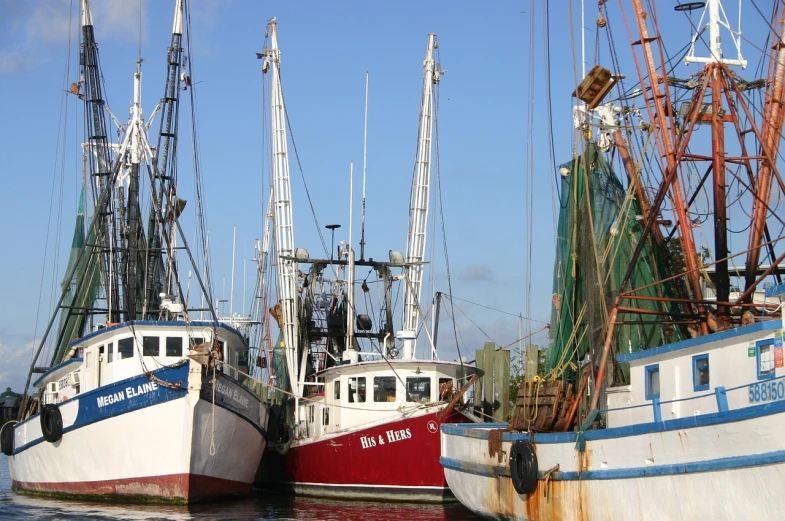 a number of boats in a body of water, a portrait, by Pamela Drew, pexels, dau-al-set, shrimp, brooklyn, louisiana, three masts