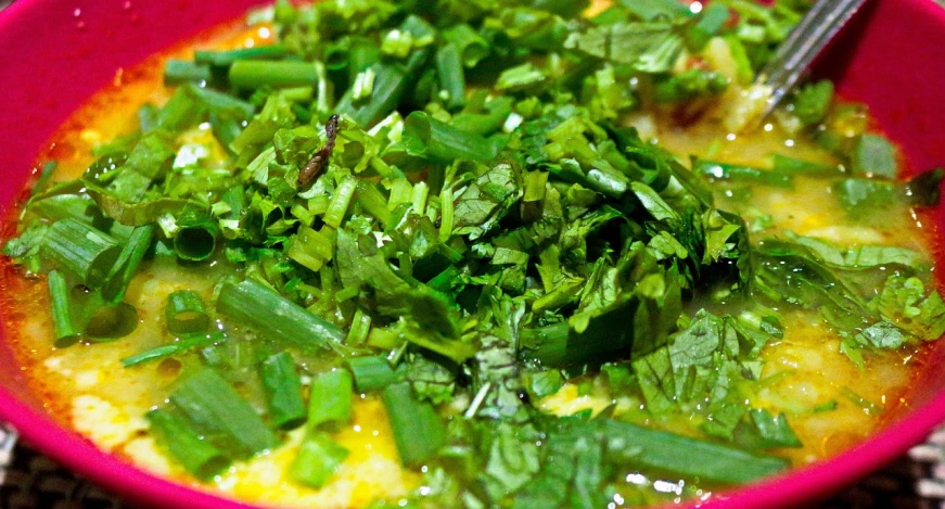 a close up of a bowl of food with a spoon, inspired by Lam Qua, flickr, hurufiyya, covered with vegetation, yellow and greens, closeup!!, vinesauce