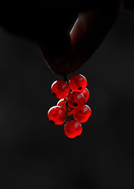 a person holding a bunch of red berries, a macro photograph, by Jan Rustem, art photography, siluette, beads, high contrast 8k, perfect composition and lighting