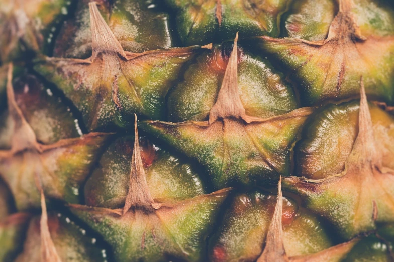 a close up view of a pineapple, a macro photograph, hurufiyya, vintage color, close-up product photo, background image, jelly - like texture