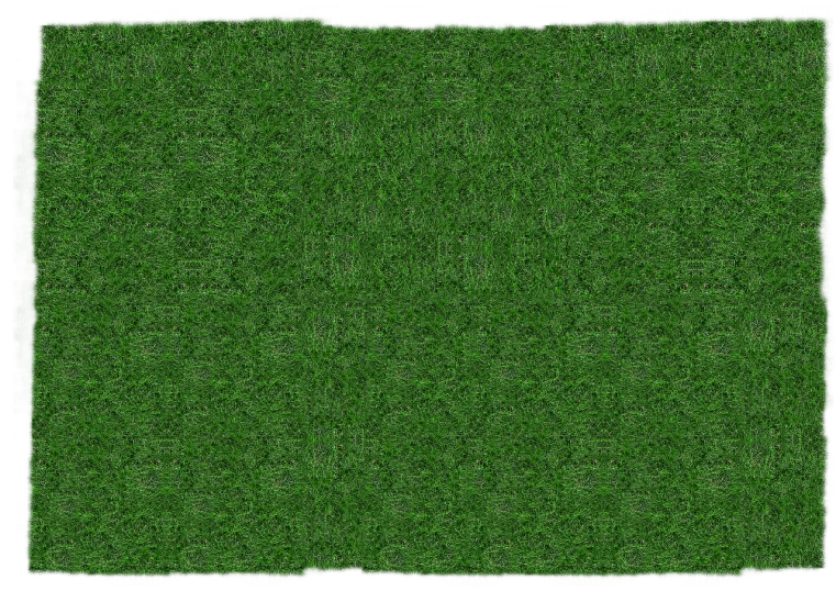 a square of green grass on a black background, a digital rendering, border pattern, lively irregular edges, equirectangular projection, bangalore