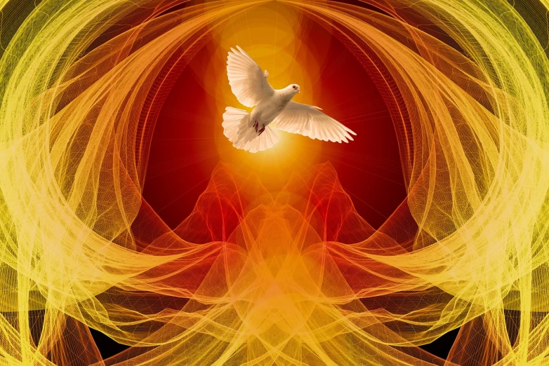 a bird that is flying in the air, by Matt Stewart, shutterstock, metaphysical painting, holy flame spell, in red background, love peace and unity, white glowing aura