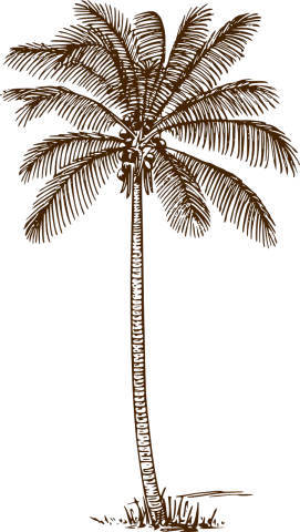 a brown palm tree on a black background, a digital rendering, by Andrei Kolkoutine, hurufiyya, woodcut style, siluette, detailed screenshot, etched relief