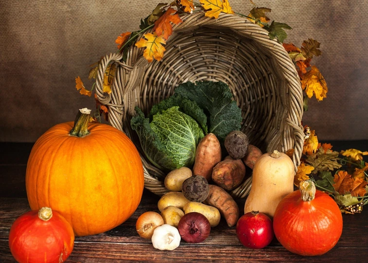a basket filled with lots of different types of vegetables, a still life, by Maksimilijan Vanka, pixabay, realism, victorian thanksgiving feast, seasons!! : 🌸 ☀ 🍂 ❄, looking across the shoulder, pumpkin