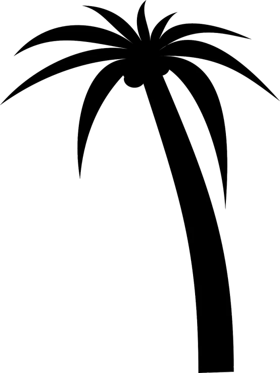 a black and white drawing of a palm tree, a raytraced image, inspired by Andrei Kolkoutine, reddit, ascii art, hq 4k phone wallpaper, in microsoft paint, bottom - view, fireworks