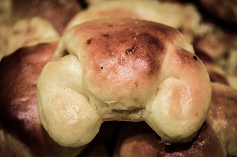 a bunch of bread rolls sitting on top of each other, a macro photograph, bauhaus, headcrab, very coherent image, close-up product photo, mash potatoes