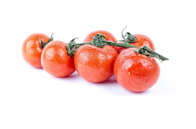 a group of tomatoes sitting on top of a white surface, a picture, profile image, very sweaty, high quality product image”, 3 6 years old