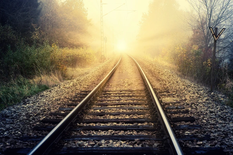 a train track in the middle of a foggy forest, a picture, shutterstock, romanticism, bright day light sun, mobile wallpaper, god rays pass through the window, yellow radiant magic