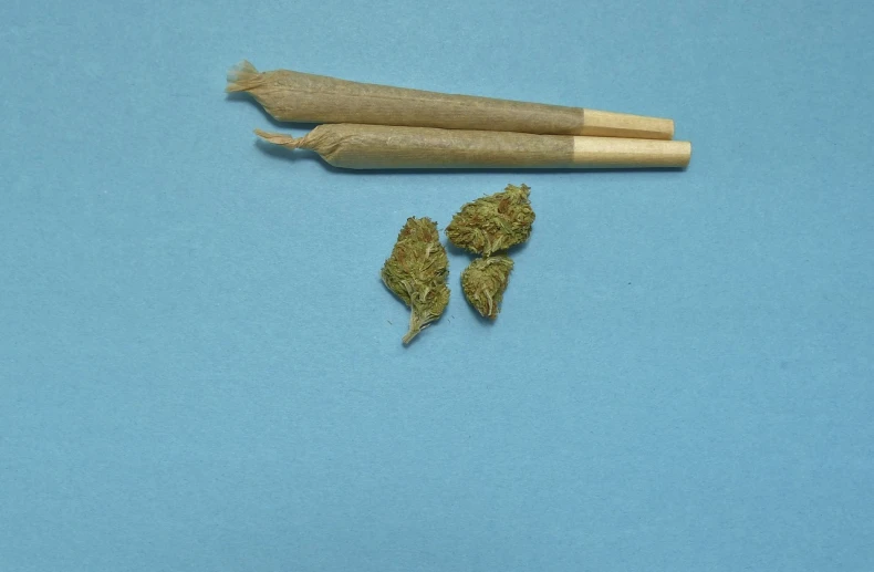 a couple of sticks sitting on top of a blue surface, a pastel, marijuana buds, high detail product photo