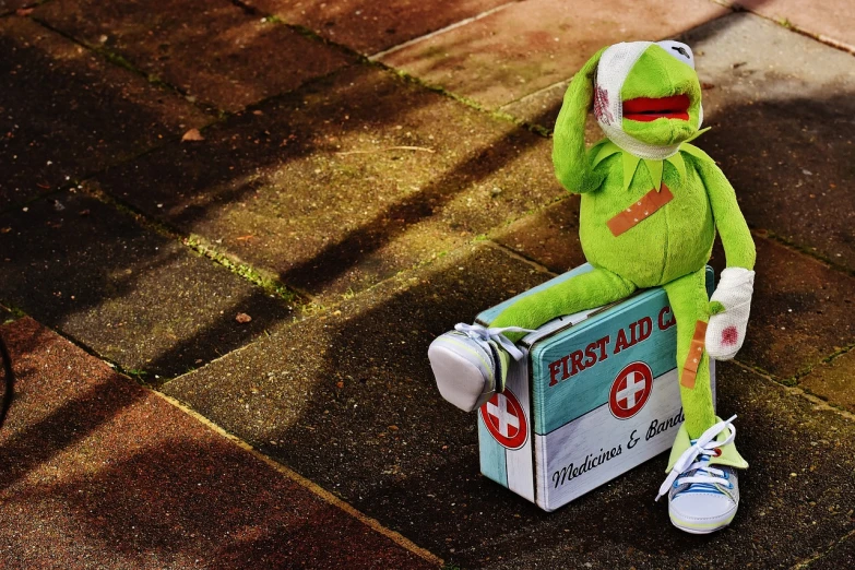 a stuffed animal sitting on top of a box, a photo, inspired by Ron English, pexels, first aid kit, kermit, hd wallpaper