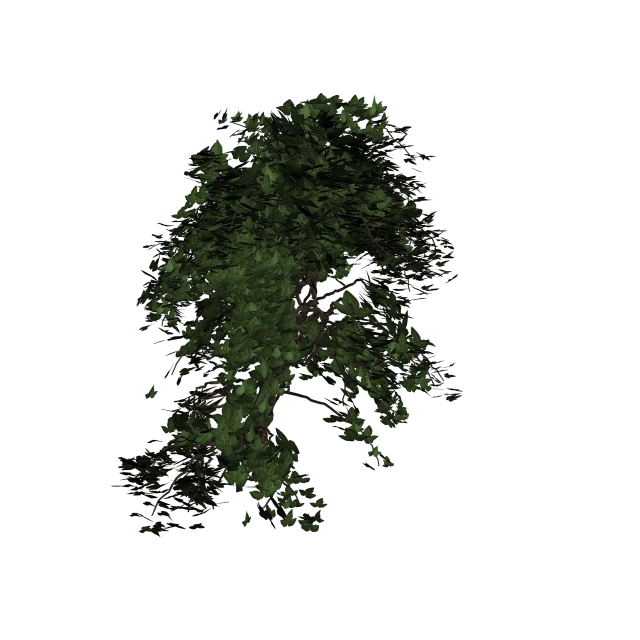 a picture of a tree in the dark, a raytraced image, polycount, hurufiyya, dark green leaf hair, in style of photogrammetry cloud, upper body visible, with a black background