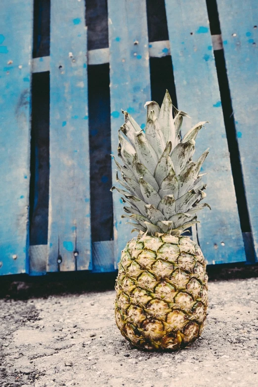 a pineapple sitting on top of a wooden bench, by Elsa Bleda, location ( favela _ wall ), highly detailed saturated, very sharp photo