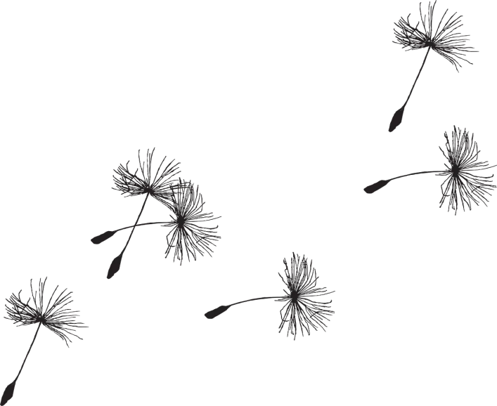 a black and white photo of a dandelion, a digital rendering, inspired by Sōami, conceptual art, clematis theme banner, black backround. inkscape, lying scattered across an empty, flies