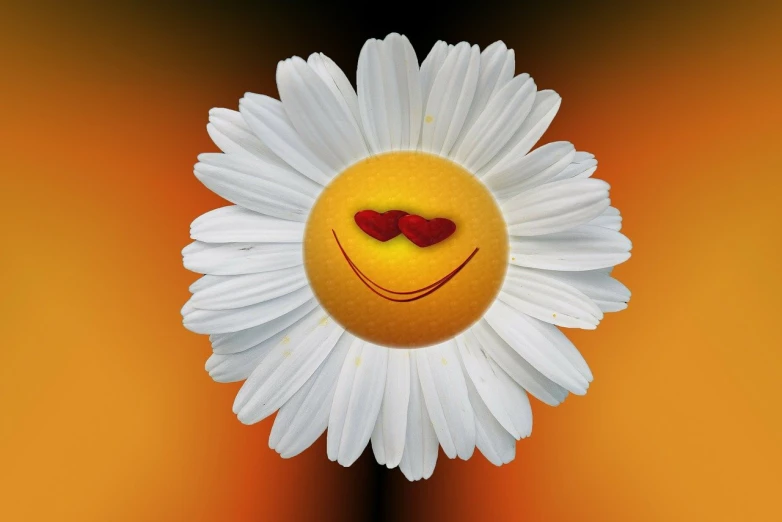 a close up of a flower with a smiley face on it, a picture, romanticism, drawn with photoshop, very accurate photo, heart eyes, white and orange