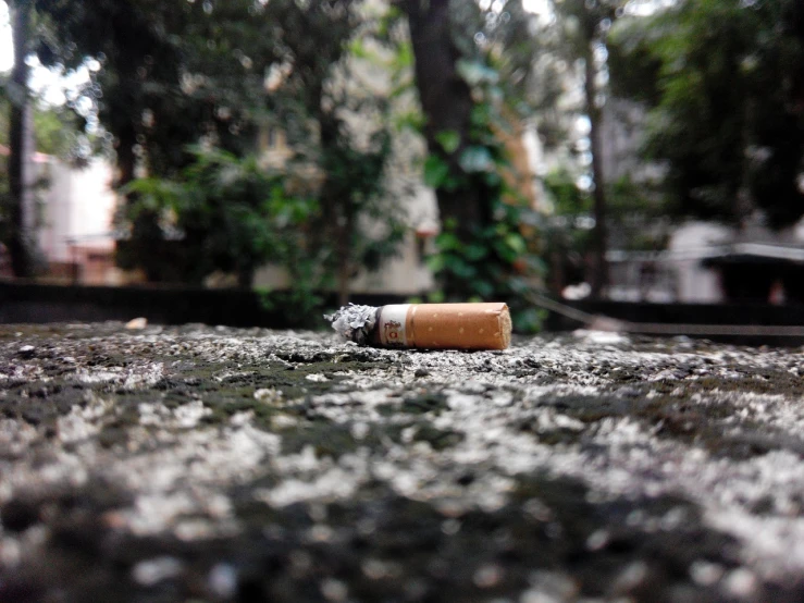 a cigarette sitting on top of a cement slab, a tilt shift photo, bangalore, against the backdrop of trees, modern high sharpness photo