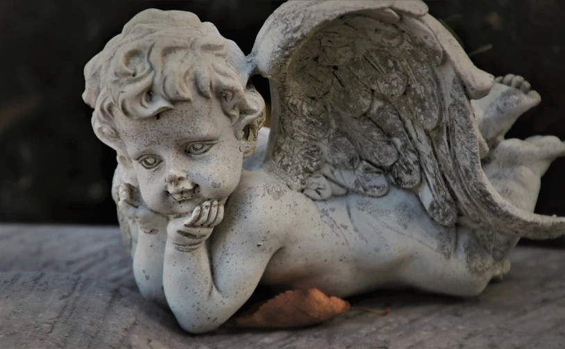 a close up of a statue of an angel, pixabay contest winner, cute decapodiformes, resting on a tough day, denis velleneuve, innocent look