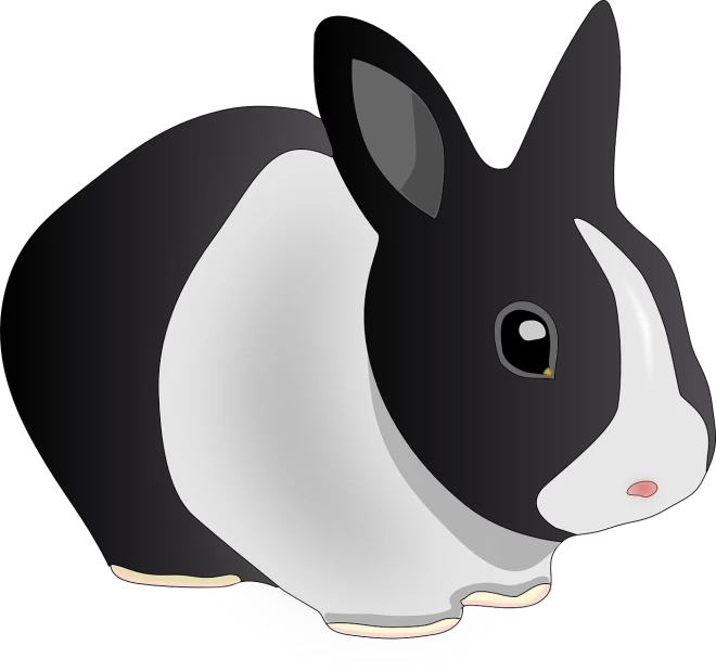 a black and white rabbit on a black background, an illustration of, pixabay, sōsaku hanga, high angle close up shot, full color illustration, 3 d vector, on a white background