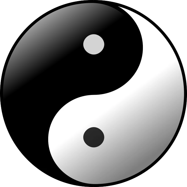 a black and white yin symbol on a white background, a picture, pixabay, bao pnan, two, of, no