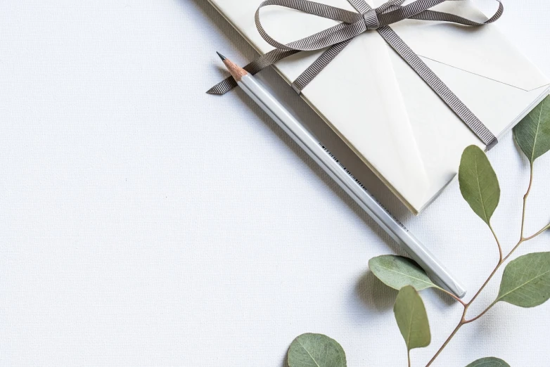 a gift wrapped in white paper and tied with a ribbon, a drawing, by Romain brook, pexels contest winner, minimalism, eucalyptus, writing a letter, silver with gold trim, on a white table