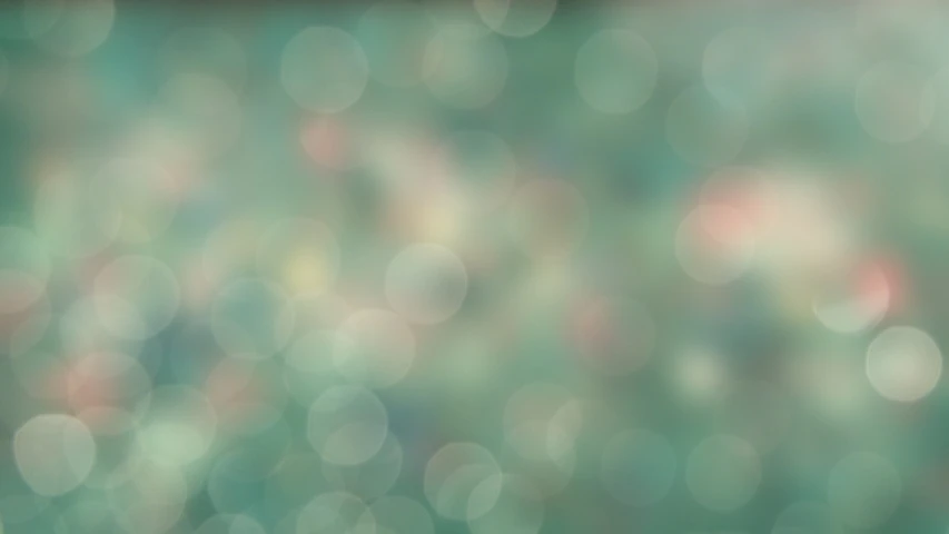 a blurry photo of a bunch of flowers, by Dóra Keresztes, trending on pixabay, digital art, glistening seafoam, [ bubbles, muted lights, 1024x1024