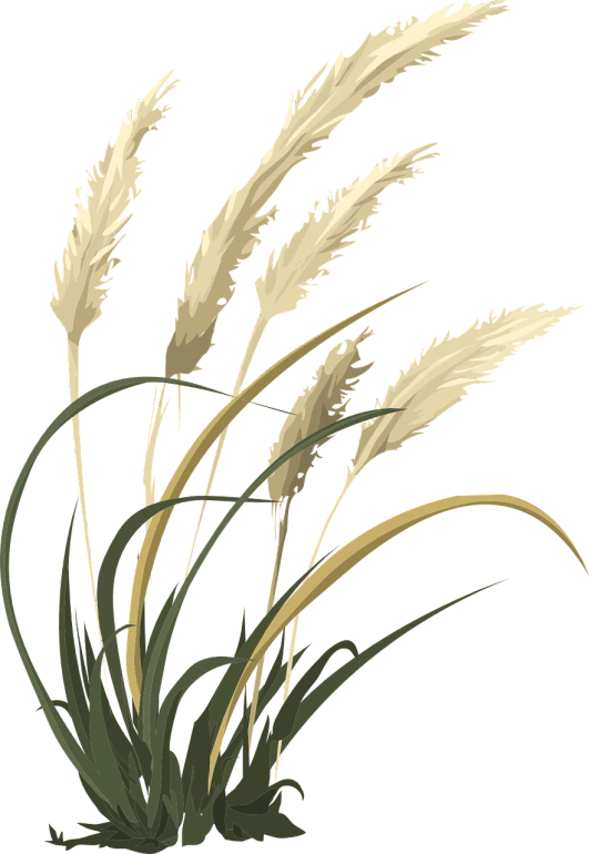 a bunch of tall grass on a black background, a digital rendering, by Kishi Ganku, deviantart, sōsaku hanga, - h 1 0 2 4, detailed vectorart, golden feathers, loosely cropped