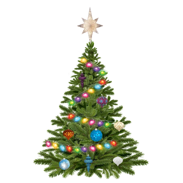 a christmas tree with a star on top, a raytraced image, by Aleksander Gierymski, realism, glittering multiversal ornaments, front facing shot, fully colored, with small object details