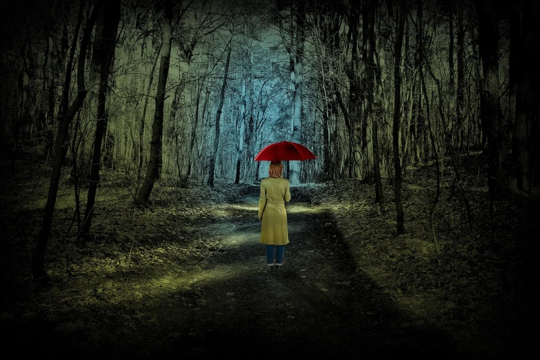 a woman in a yellow coat holding a red umbrella, a picture, pixabay contest winner, magical realism, scary dark forest, path, solitary, composite