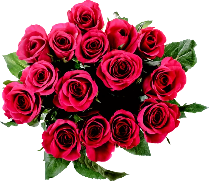 a bouquet of red roses on a black background, a digital rendering, by Valentine Hugo, shutterstock, 👰 🏇 ❌ 🍃, rich deep pink, highly detailed image, stock photo