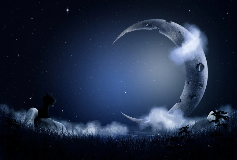 a cat sitting on top of a grass covered field, digital art, deviantart, romanticism, crescent moon, photography at night, wide - shot, wallpaper”