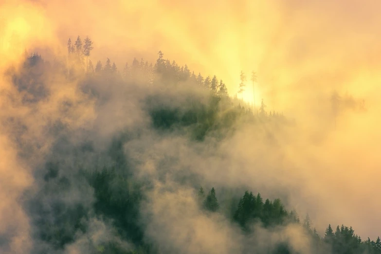 a plane flying over a mountain covered in fog, a picture, by Franz Hegi, trending on shutterstock, romanticism, sun rays through the trees, oregon, stock photo, the forest is on fire