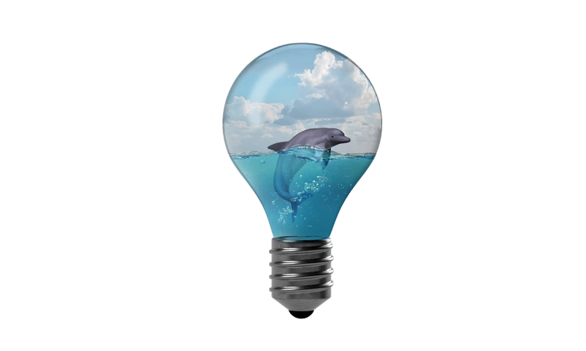 a light bulb with a dolphin inside of it, a digital rendering, by Joe Bowler, high quality photos, right side composition, dolphins, intelligent design