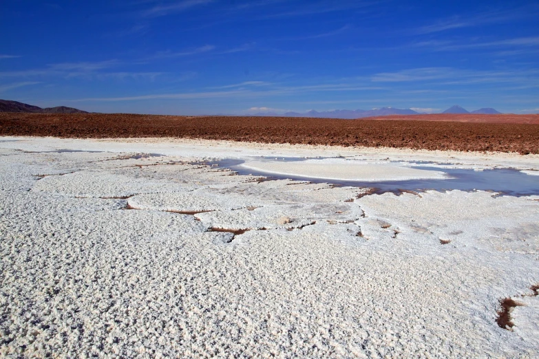 there is no image here to provide a caption for, by Whitney Sherman, flickr, color field, white salt, chile, looking partly to the left, shiny skin”