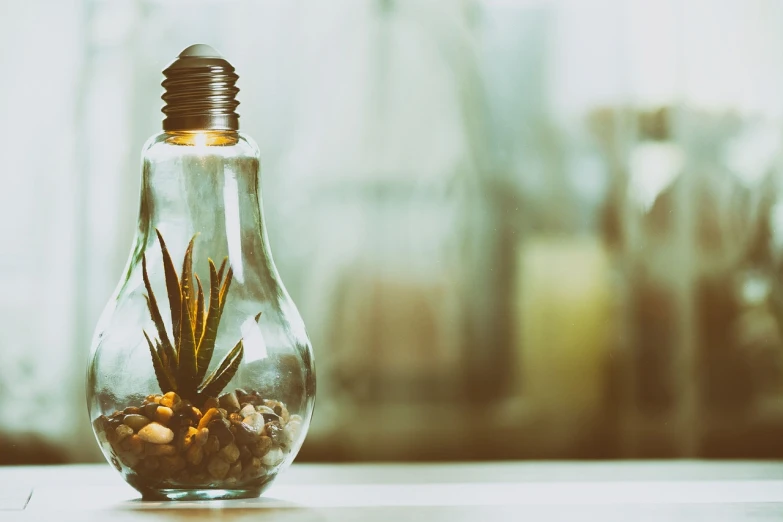 a light bulb with a plant inside of it, by Adam Marczyński, pexels, realism, glass jar, istockphoto, retro stylised, unique pot made for houseplants