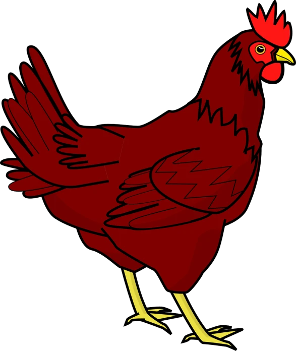 a red chicken on a black background, an illustration of, by David Budd, pixabay, red colored, 1 9 year old, maroon, cell shaded cartoon