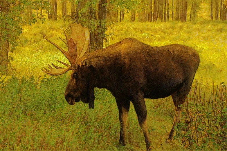 a painting of a moose in the woods, an illustration of, by Robert Bateman, pixabay contest winner, johnson heade, a fat, arkhip kuindzhi painting, yellowed with age