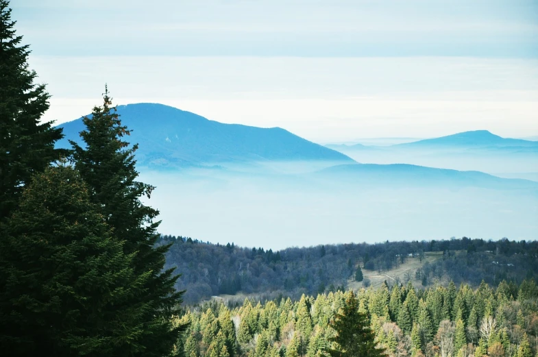 a view of the mountains from the top of a hill, a picture, by Hristofor Žefarović, shutterstock, romanticism, foggy forrest backdrop, shades of blue and grey, telephoto vacation picture, over the horizon