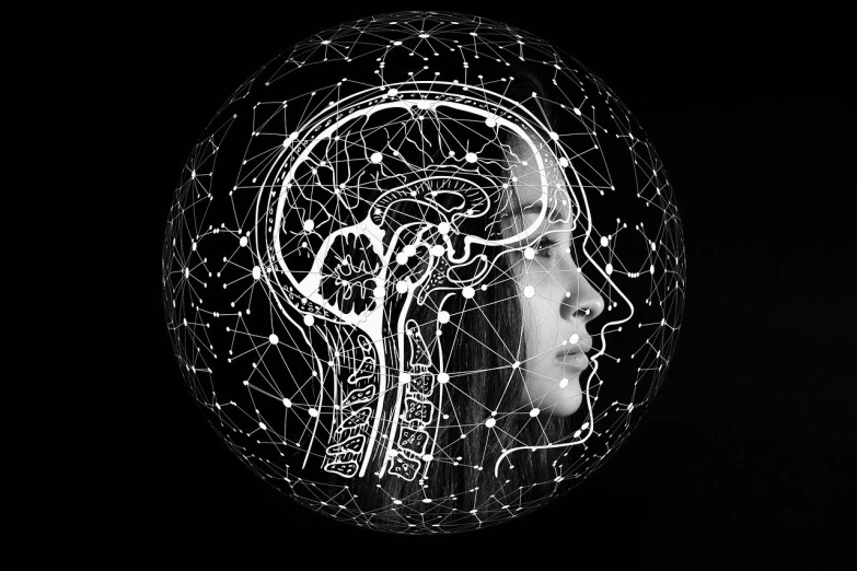 a black and white photo of a human head, pixabay, digital art, neurological marvel, transparent glass woman, connections, biohacking
