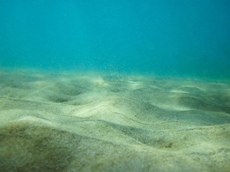 there is a large amount of sand in the ocean, by Andrew Domachowski, figuration libre, underwater background, ground - level view, view from bottom, water particulate