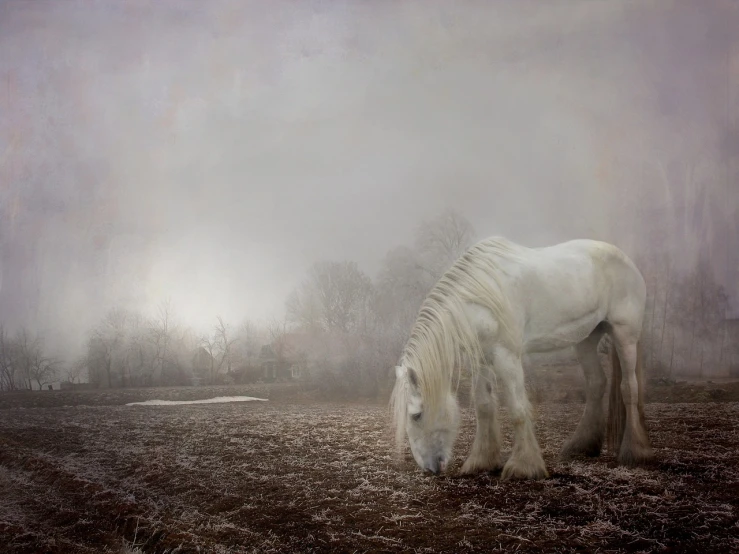 a white horse grazing in a field on a foggy day, a photorealistic painting, by Cindy Wright, pixabay contest winner, romanticism, lost in a dreamy fairy landscape, in despair, white long hair, on a dark winter's day