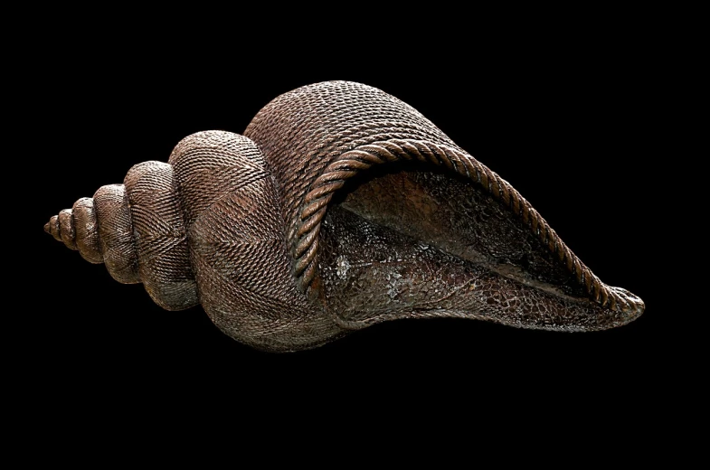 a close up of a snail's shell on a black background, by Anna Füssli, trending on zbrush central, hyperrealism, an unknown ethnographic object, shai-hulud, exhibited in the british museum, above side view