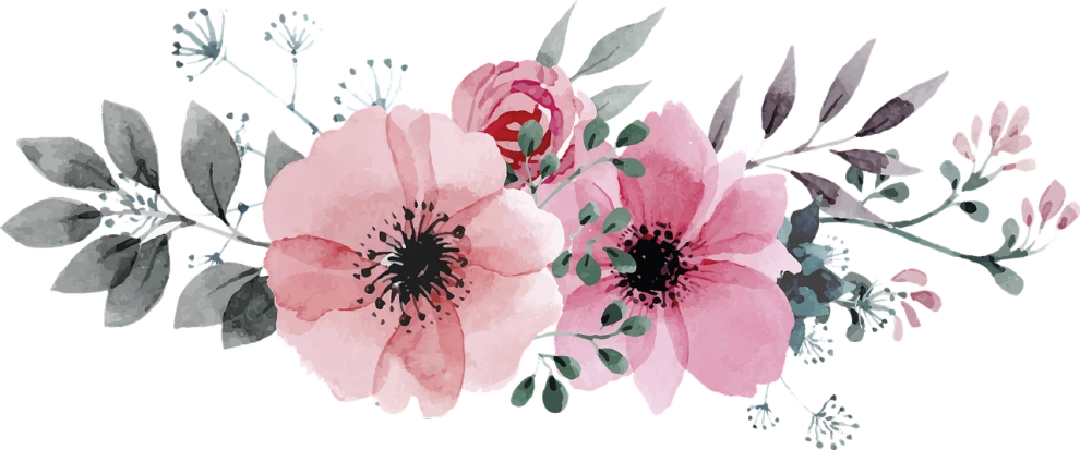 a painting of pink flowers on a black background, pixabay, made with illustrator, banner, black watercolour, anemones