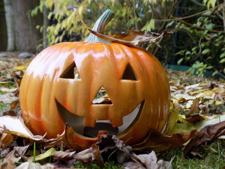 a pumpkin sitting on top of a pile of leaves, by Tom Carapic, pixabay, halloween film, very very happy!, 6 4 0, bbc